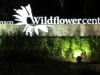 lady-bird-johnson-wildflower-center05