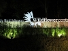 lady-bird-johnson-wildflower-center16