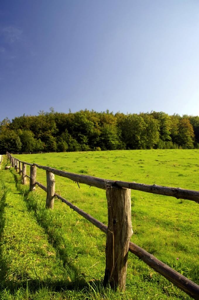 Holistic Ranch Management | Green Austin Homes