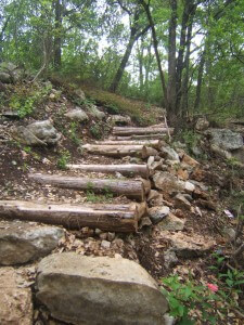 Georgetown TX Pickett Trail Steps
