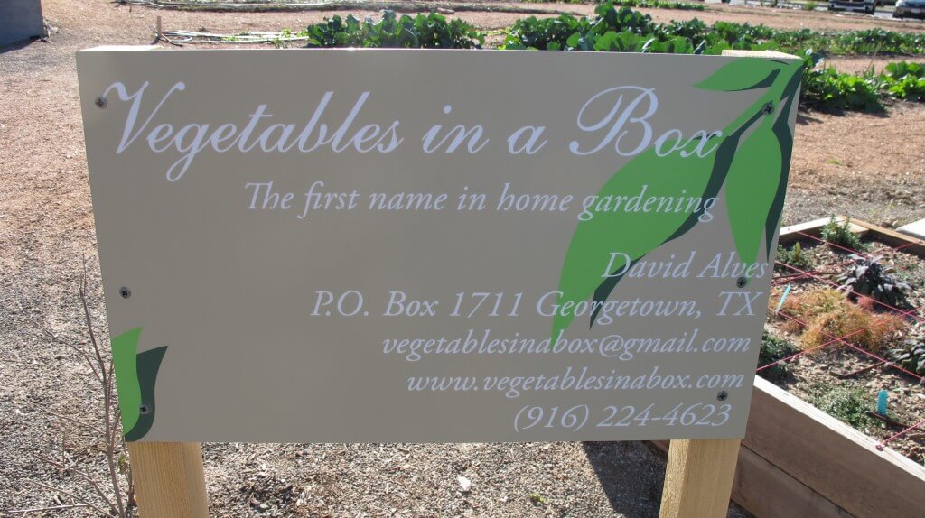 Georgetown TX Organic Garden